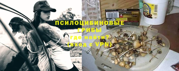 дмт Майский
